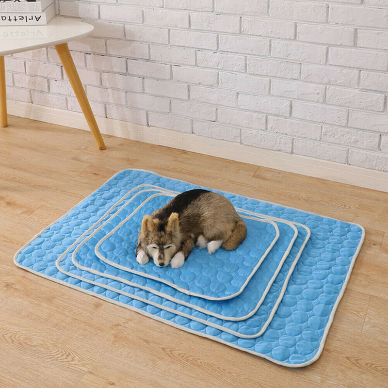 Summer Pet Cooling Ice Mat Cat Dog Sleeping Blanket Cushion (Sky Blue XL) A