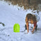 2Pieces Snowball Tool Winter Outdoor Sport Snow Toys for Kids  Penguin