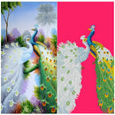 Peacock Diamond Embroidery 5D Diamond DIY Painting Craft Home Decor