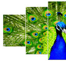 5pcs Unframed Modern Art Oil Painting Peacock Huge Wall Art Poster Decor PVC