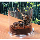 Decorative Clear Acrylic Fish Tank Small Aquarium Container Desktop Kids