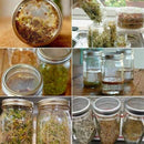 Set Of 3 Stainless Steel Sprouting Jar Lid Kit For Superb Ventilation Fit F X4M4