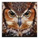 Full Drill Animal Print Diamond Painting Embroidery DIY Cross Stitch
