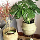 20cm Seagrass Wicker Basket Foldable Plant Pot Nursery Laundry Storage Bag Decor