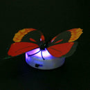 Luminous Butterfly LED Night Light Lamp Wall Pasted Home Decoration(Random)