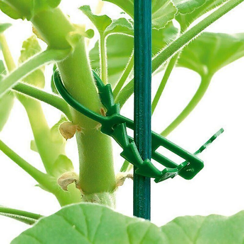 Reusable Garden Plastic Plant Cable Ties Tree Climbing Support Garden Plant