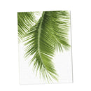 2x Unframed Modern Art Canvas Oil Painting Green Palm Leaf Print Wall Decor