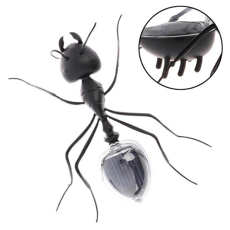Solar Ant Toys Play Learn Educational Solar Novelty Toys For Children Gif@