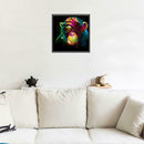5D DIY Diamond Painting Paint Orangutan Cross Stitch Embroidery Rhinestones