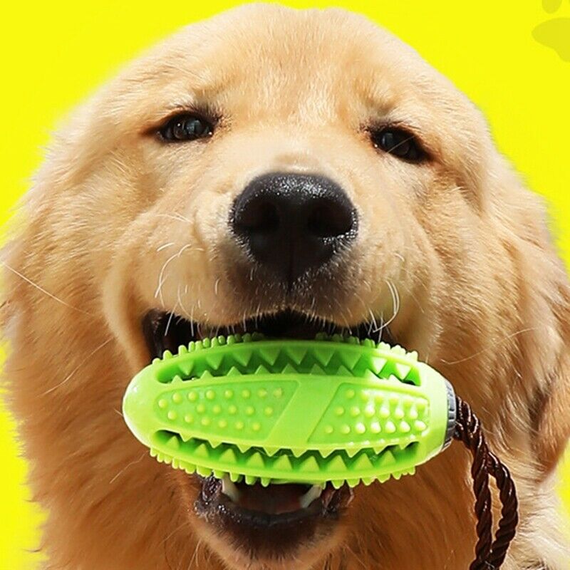 Interactive Dog Toys Toothbrush IQ Treat Dispensing Ball Rope Safe Teeth Cl
