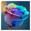 5D DIY Full Drill Diamond Painting Colorful Rose Cross Stitch Embroidery