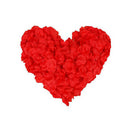 2000 x Silk Rose Petals for Wedding Party - Red O2C7