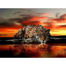5D DIY Full Round Diamond Painting Tiger Embroidery Canvas Art (L2186)