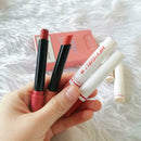 4X Creative Lipstick Matte Long Lasting Matte Lipstick Stick Smoke Tube Lipstick
