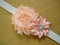 10 x Girl Newborn Baby Toddler Infant Flower Headband Hair Bow Band Photo Props