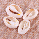 50x Small Natural Beach Sea Cowry Cowrie Shell fit for Jewelry Crafts Aquarium