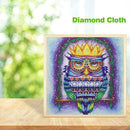 5D DIY Special Shaped Diamond Painting Owl Cross Stitch Mosaic Craft Kits