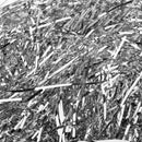 1 Pack Metallic Sliver Shredded Paper for Gift Box Stuffing Filler Gift Wrap