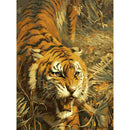 Hand Painted Picture Frameless DIY Fierce Tiger Painting By Numbers Craft