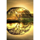 5D DIY Full Drill Diamond Painting Scenery Cross Stitch Craft Kits (06)