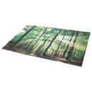 5x3ft Photography Backdrop Vinyl Autumn Sunrise Scenery Forest Decor