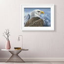 5D DIY Full Drill Diamond Painting Eagle Cross Stitch Embroidery (C1201)