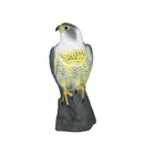 Realistic Eagle Hawk Hunting Decoyl Bird Pigeon Scarer Outdoor Garden Decor
