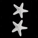2pcs Seastar Aromatic Stones Fragrance Air