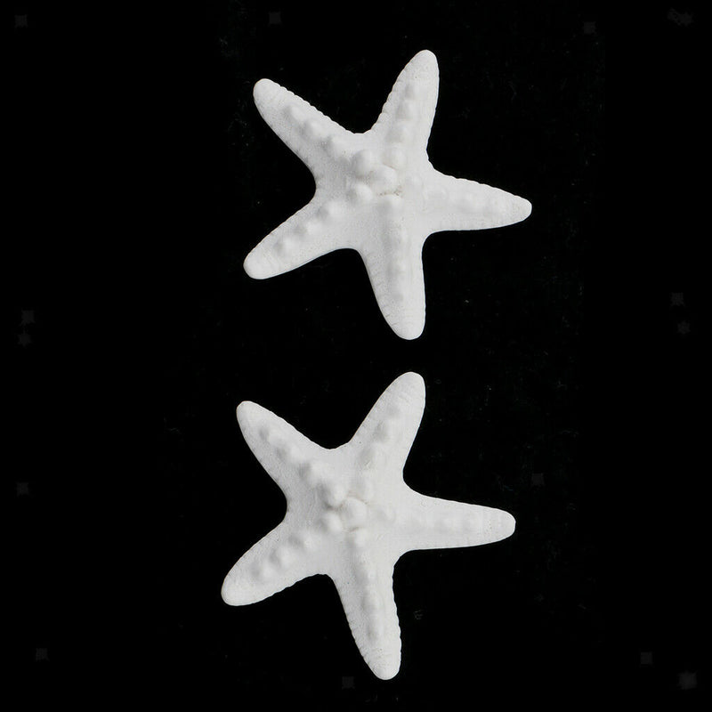 2pcs Seastar Aromatic Stones Fragrance Air