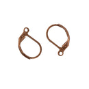 250 Pcs Earring Ear Hooks Clasps Clasps Ear Clasps Wire Coil Hooks
