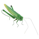 Realistic Insects/Bugs Locust for Halloween Party Favors and Decoration