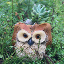 Creative Plant Pot Owl Succulent Flower Planter Bonsai Herb Box Garden Decor