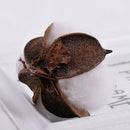 6Pcs Natural Cotton Head Artificial Dried flowers Xmas Diy Garland Wreath DecTO