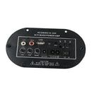 Car Hi-Fi Bass 25W Power Subwoofer Board Digital Amplifier 12V/24V/220V