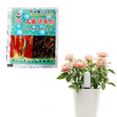 Soil Sterilization To prevent Orchid Chrysanthemum New Decomposition Z1K5