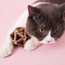 Matatabi Stick with Catnip Ball Organic Natural Plant Teeth Cleaning Chew  D Gw