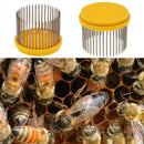 3Pcs Beekeeping Queen Needle Type Bee Cage Stainless Steel Catching Catcher
