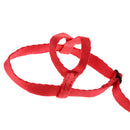Parrot Bird Parakeet Leash Outdoor Adjustable Harness Training Rope Random