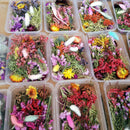 1 Box Mix Natural Dried Flowers Scrapbooking Decor DIY Epoxy Mold Filling CSEAU