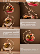 2Sets Hanging Glass Hydroponic Flowers Planter Vase Terrarium Container