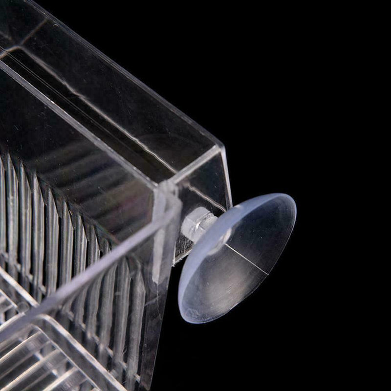 Aquarium Fish Tank Guppy Double Breeding Breeder Rearing Trap Clear Best Ac M5X2
