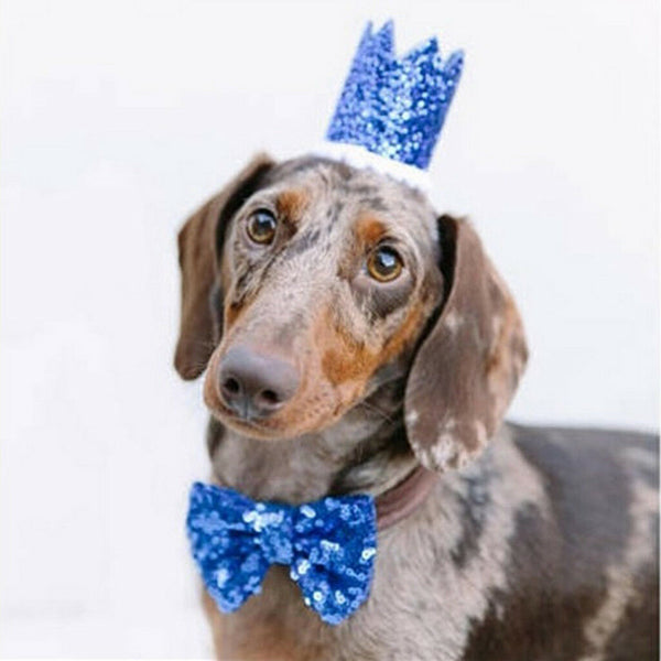 2x Dog Cat Birthday Crown Hat Cap Pet Bow Tie Costume Headband Accessories