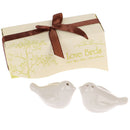 2x Love Bird Salt Pepper Shaker Pots Cruet Caster Seasoning Souvenirs DecorJR