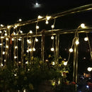 5M LED String Globe Star Fairy Light for Wedding Christmas (Warm White)