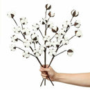 3 Pack 21 inch Cotton Stems Farmhouse Decoration Floral Picks - Rustic Styl N6U9