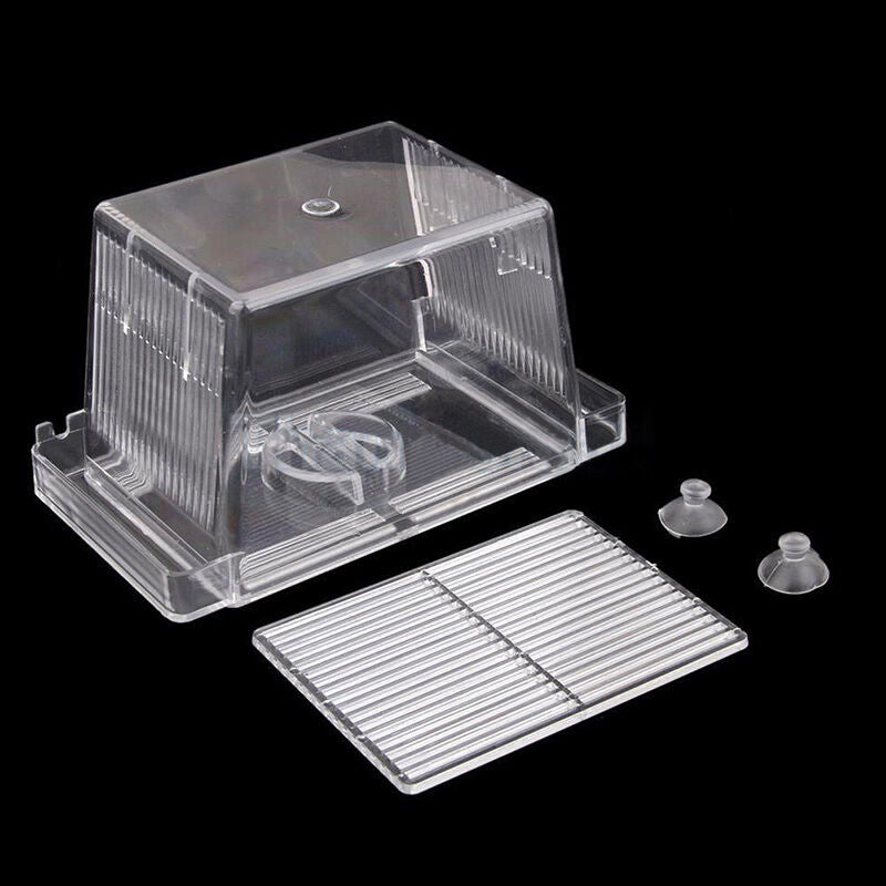 Aquarium Fish Tank Guppy Breeding Breeder Rearing Trap Box Hatchery N1K8