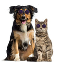 Lovely Dog Cat Glasses Pet Eye Protection Sunglasses Photos Props (Blue) A