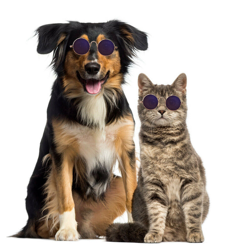 Lovely Dog Cat Glasses Pet Eye Protection Sunglasses Photos Props (Blue) A