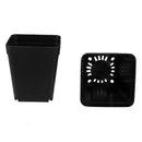 Pack of 50pcs Black Plastic Mini Flower Pots Nursery Plant Containers 7cm*7cm