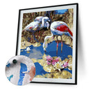 Painting By Numbers Frameless DIY Drinking Crane Hand Painted Artwork Craft